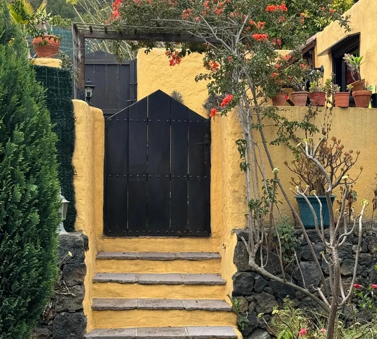 Oasis Hill Botanical Garden Villa Icod De Los Vinos Lodge